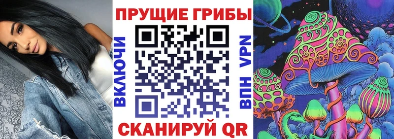 мега ссылка  что такое наркотик  Каменка  Псилоцибиновые грибы GOLDEN TEACHER 